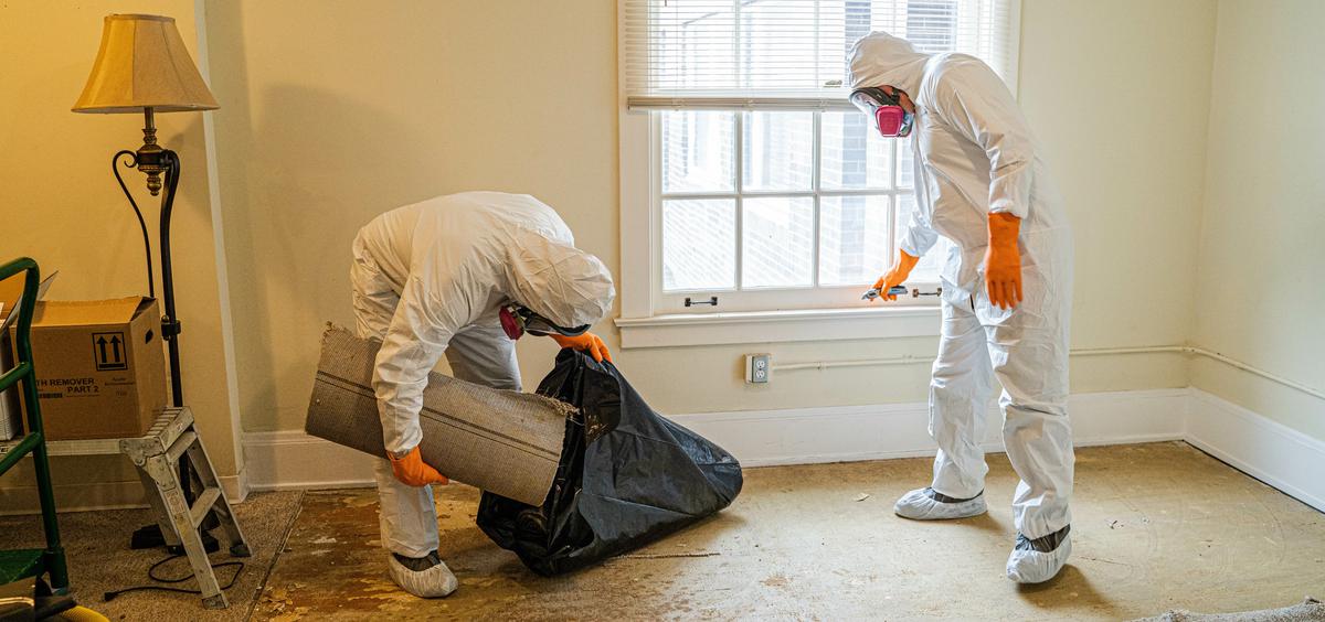 Essential Materials for Hiring a Water Damage Restoration Company