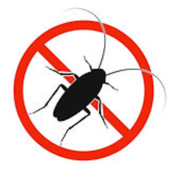 Ormond Beach Pest Control