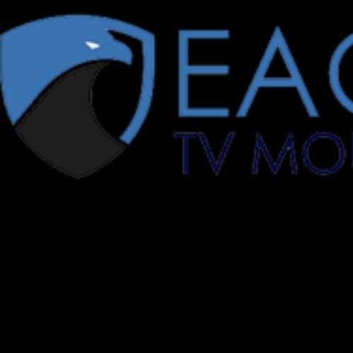 Eagle TV Mounting