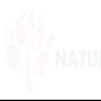 Nature Tree Service Of Gainesville