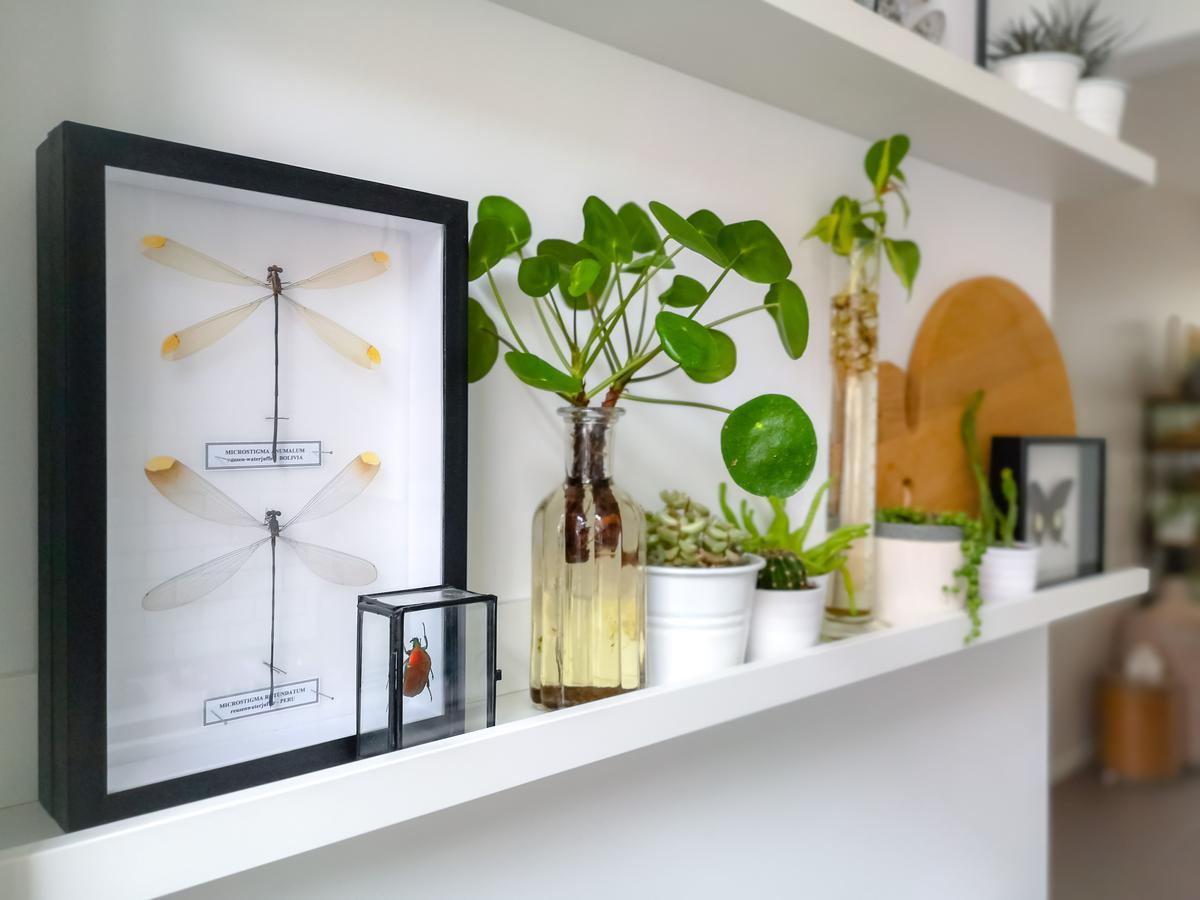 Discover how these sleek floating shelves effortlessly transform your wall into a stylish, functional showcase.