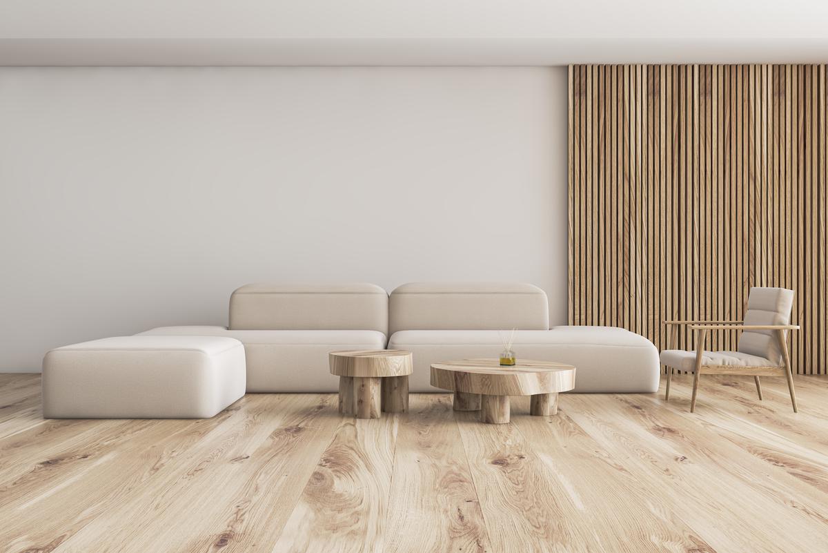 A Minimalist Living Room Increases Space