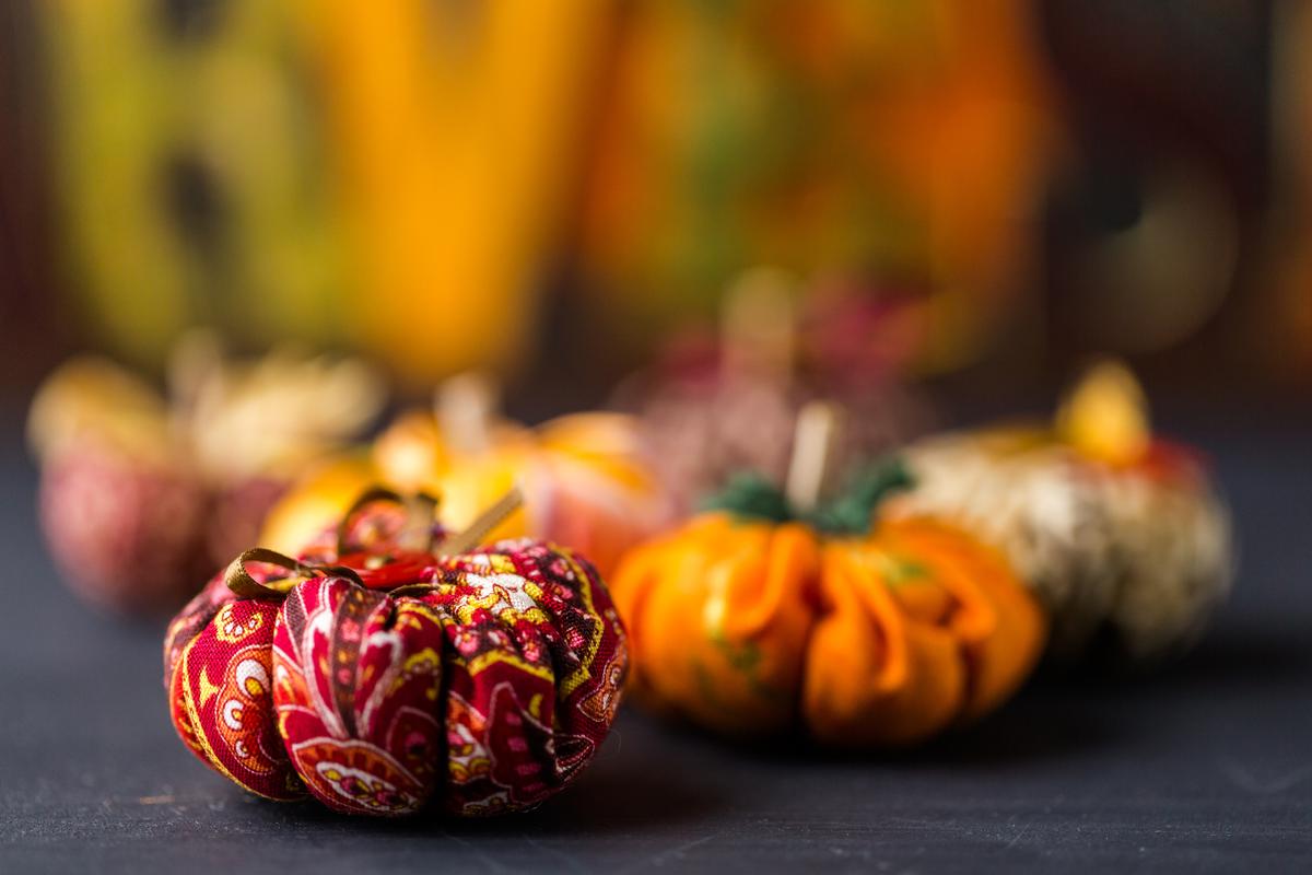 A Variety of Textures and Colors for a Unique Pumpkin Aesthetic