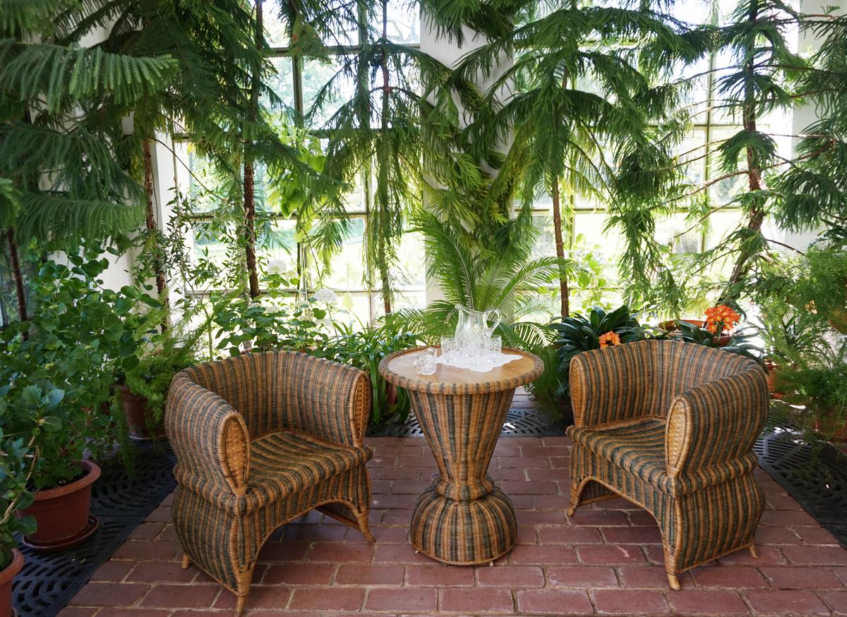Adding a Splash of Greenery to Your Winter Patio Is a Good Idea