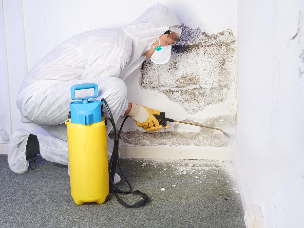 An experienced mold removal contractor will have all the skills needed to get the job done.