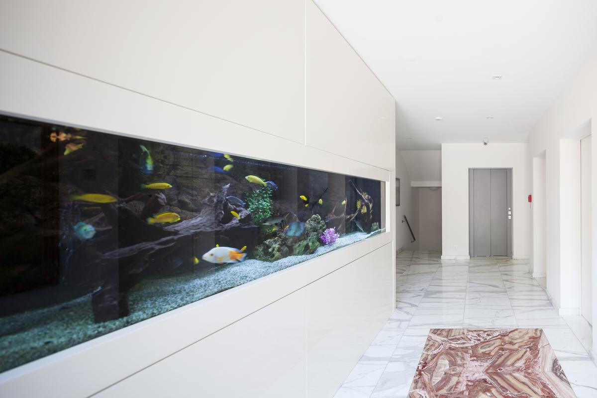 9 Unique Aquarium Designs To Incorporate Into Your Home'S Architecture