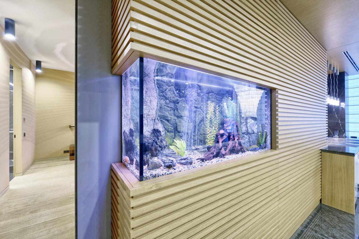 wall fish tank living room