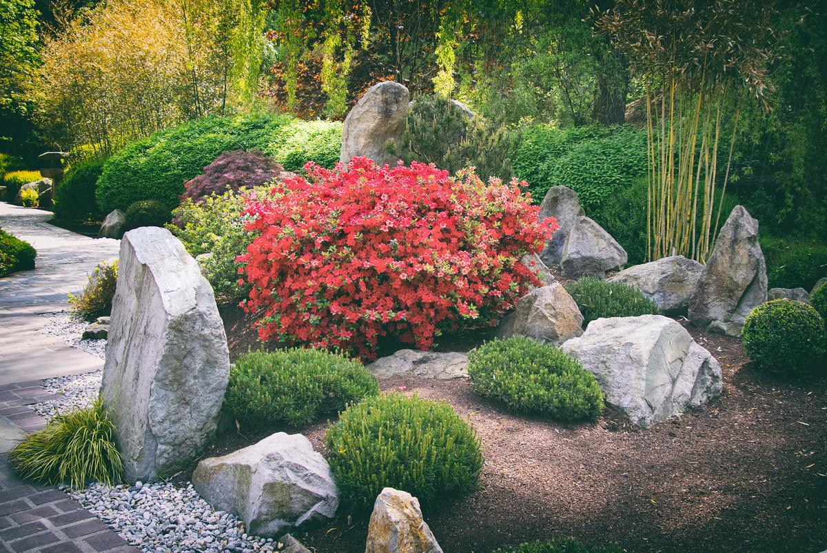 Rock gardens add texture and dimension.