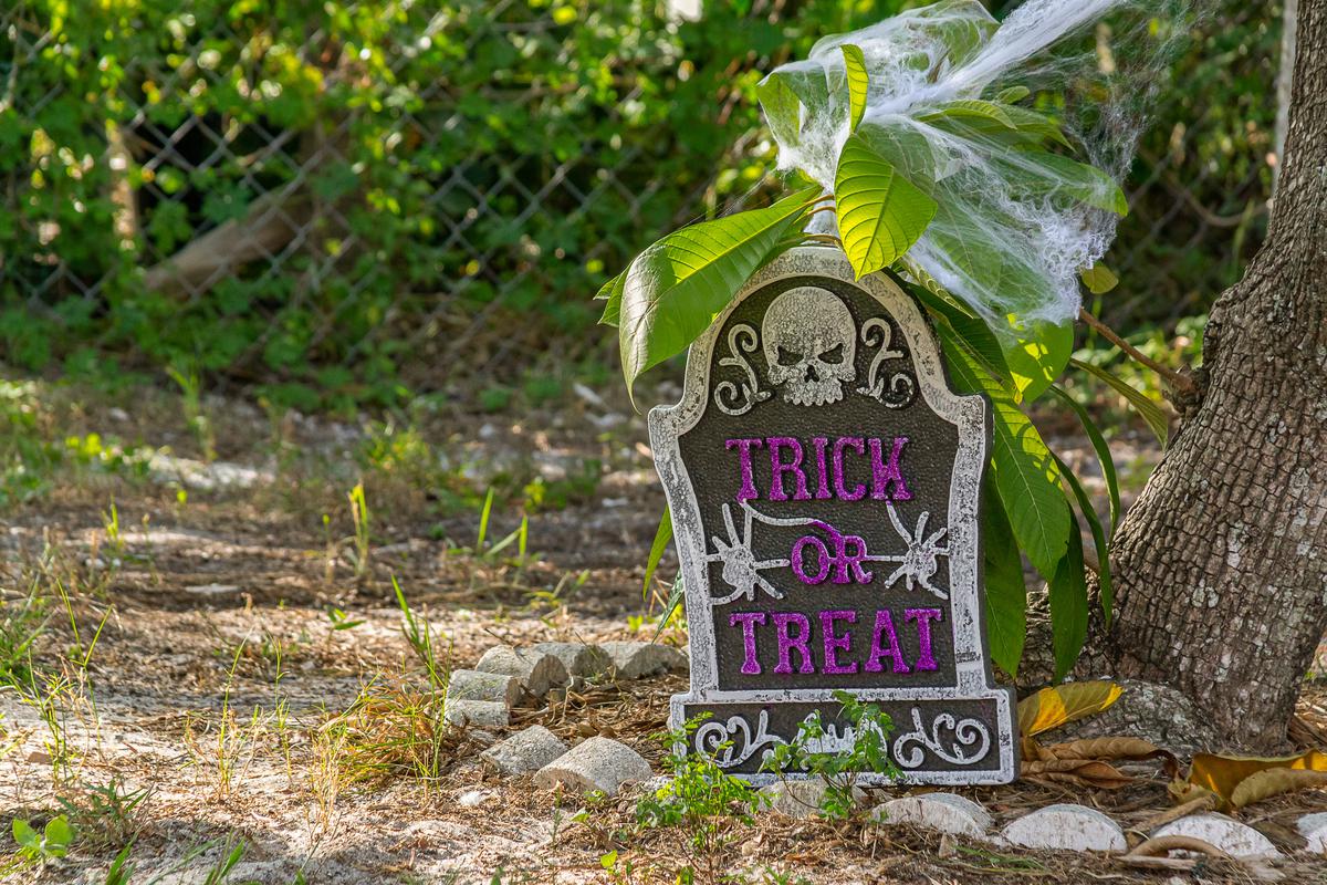 Make use of your backyard by totally transforming it into a set of a horror film.