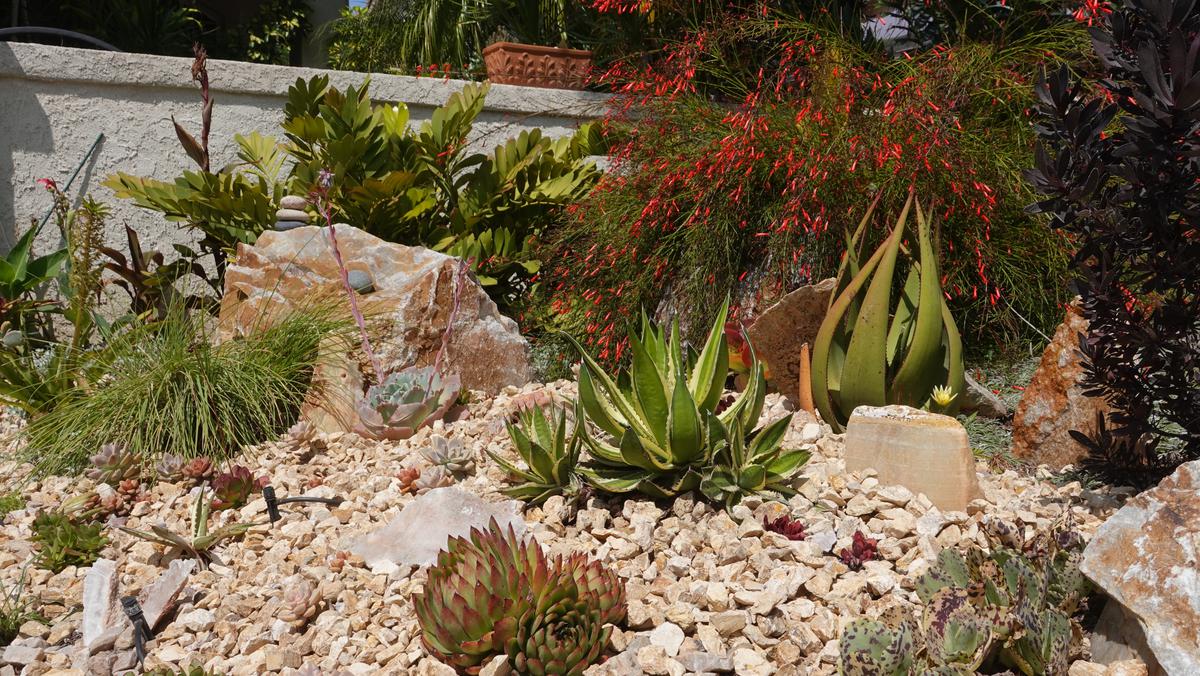 Designing the correct rock garden layout is crucial.