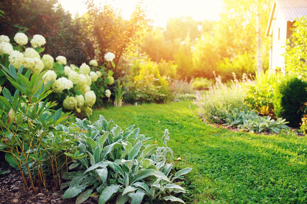 Multiple types of plants allow your garden to be pretty all season.