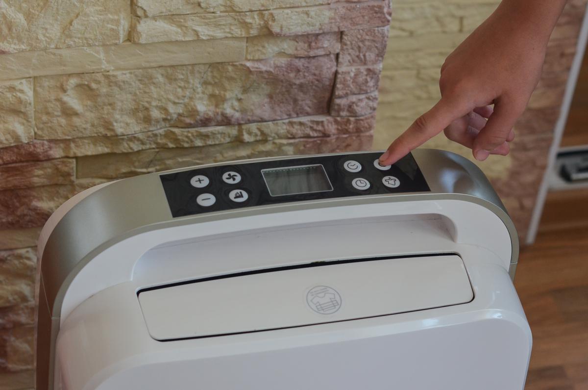 Dehumidifiers are excellent at preventing buildups of mold in your home.