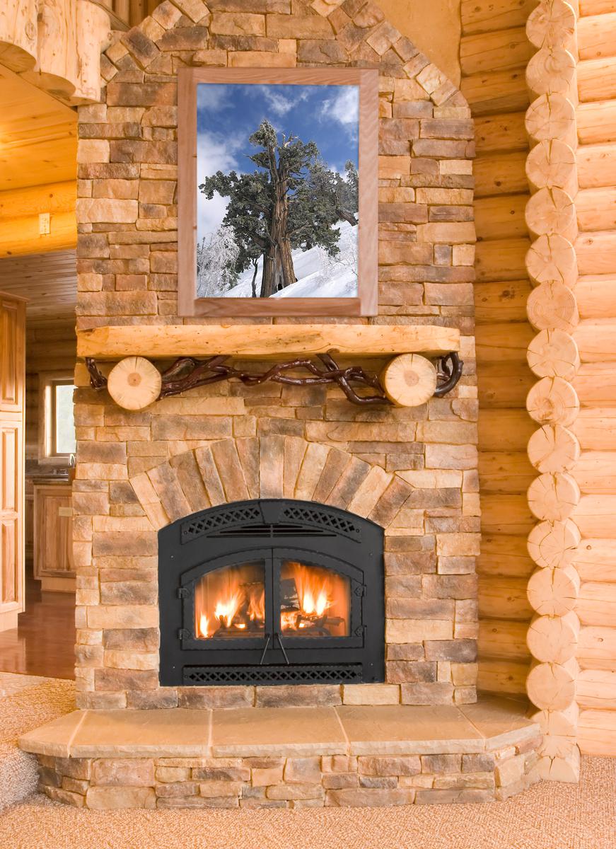 Canvas prints and brick walls are common features of homes in the cabincore style.