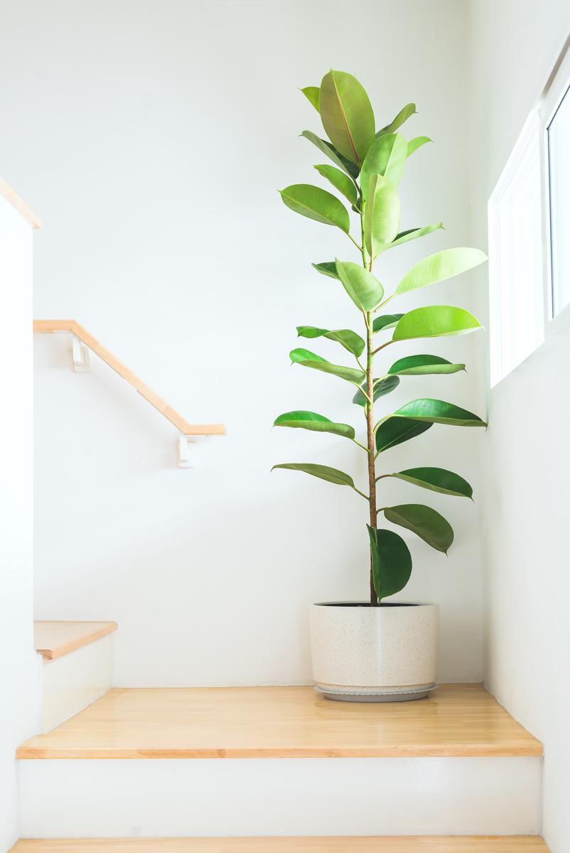 Do’S And Don’Ts Of A Feng Shui Staircase