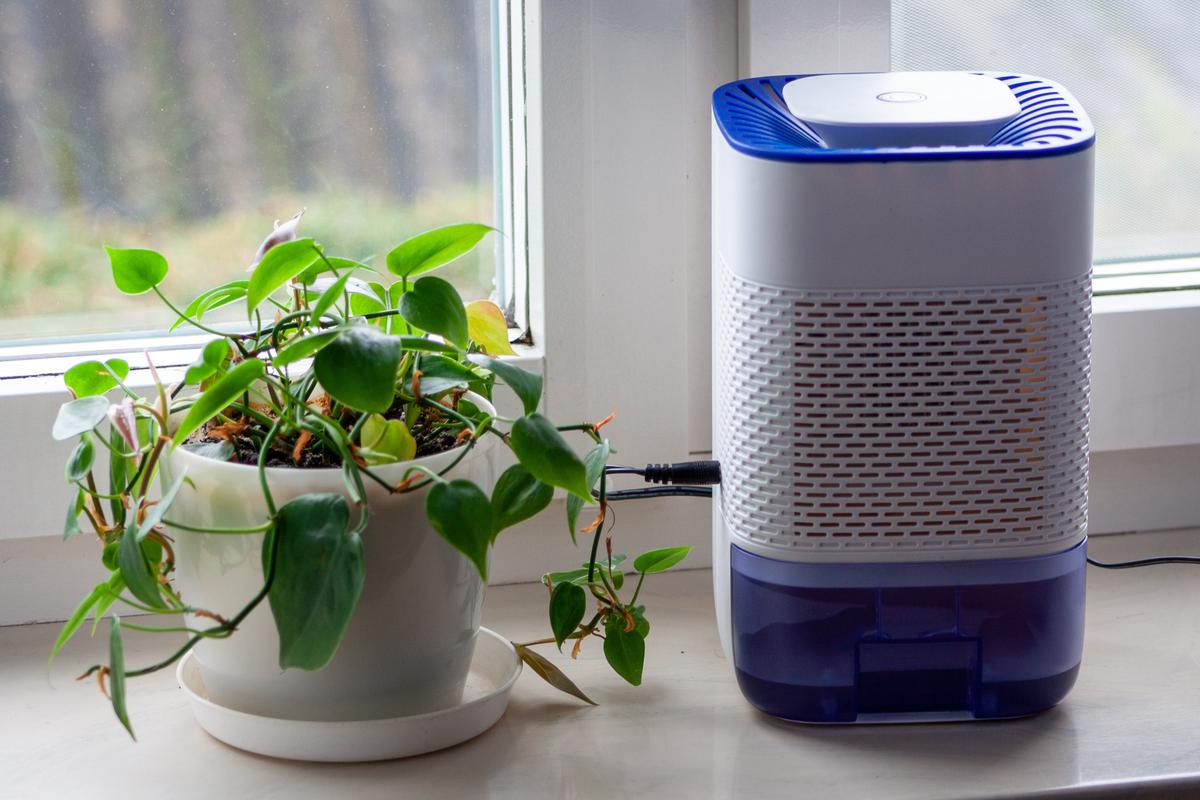 Dehumidifiers can make the indoor atmosphere much more comfortable.