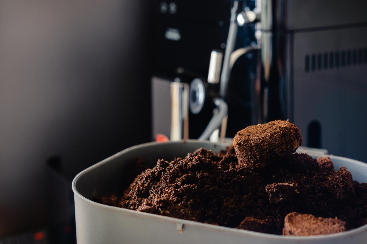 Recycle your coffee grounds as an effective odor remover instead of throwing them away.