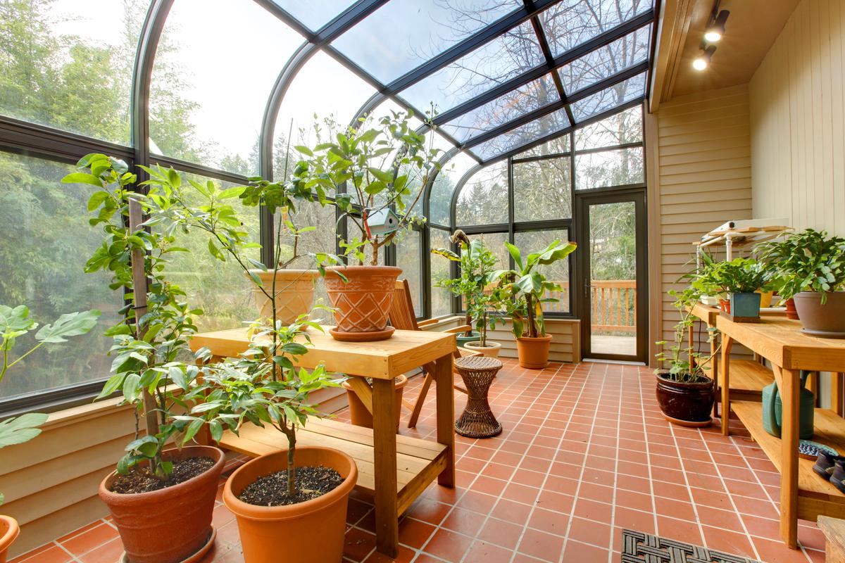 Sunrooms can house plants as well.