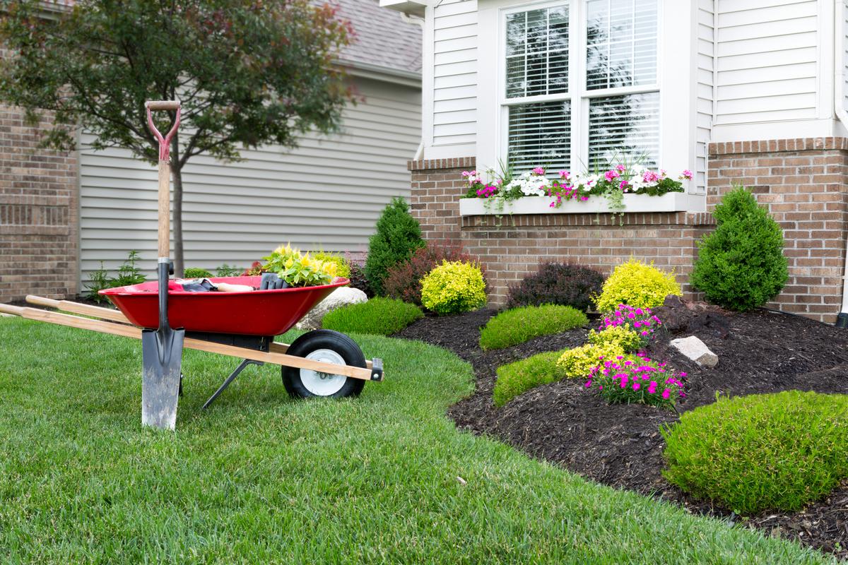 A lack of mature landscaping can also mean that you’ll be able to choose the greenery you want.