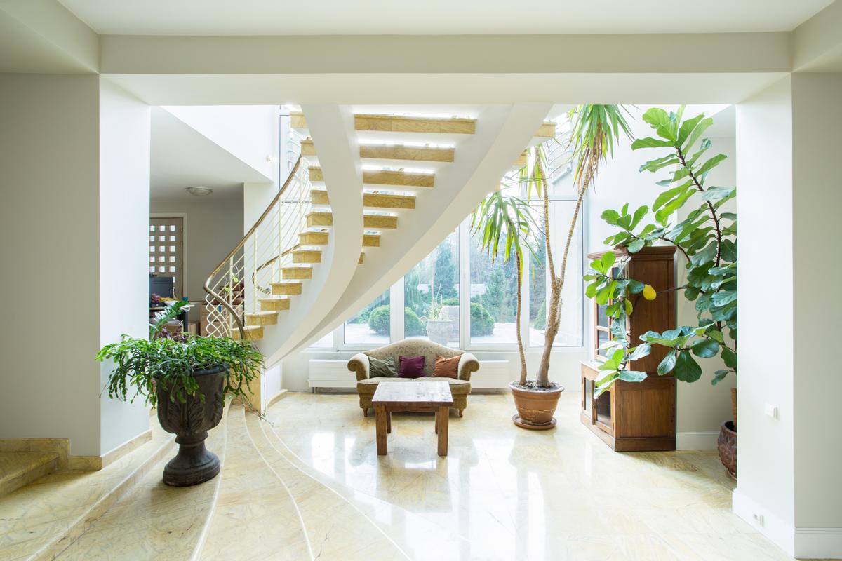 Consider elevating your luxurious living space with a dash of biophilia.