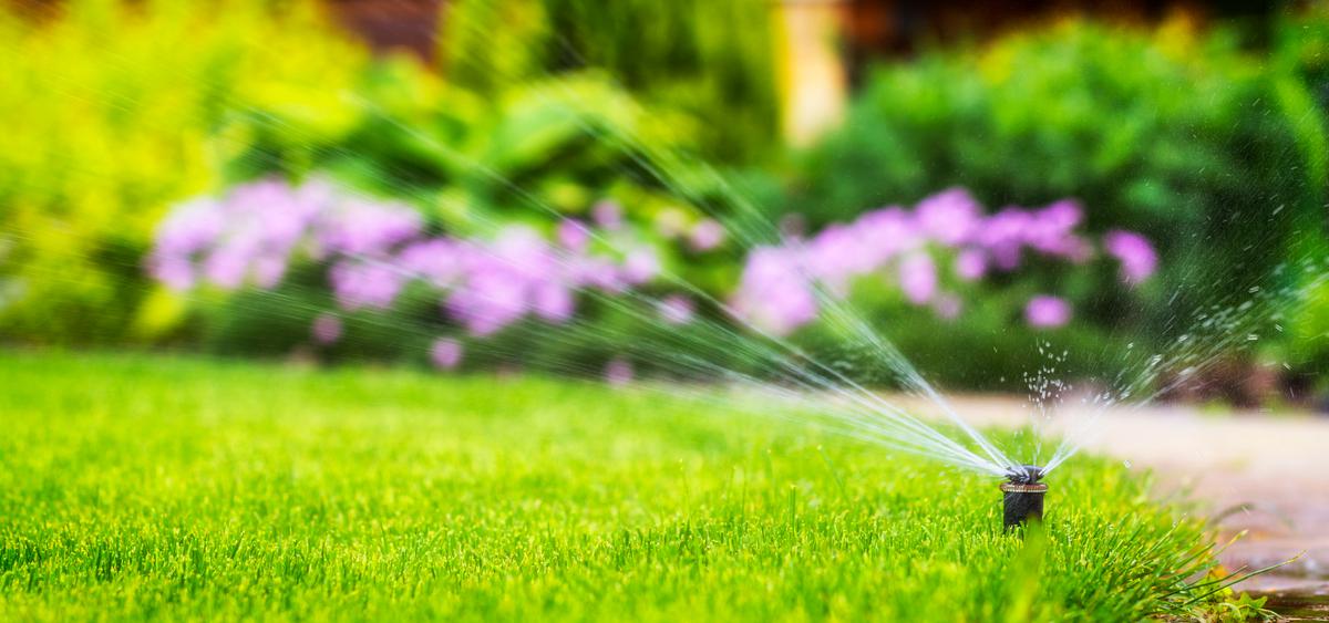 An Inch of Water an Hour Helps Your Garden to Flower