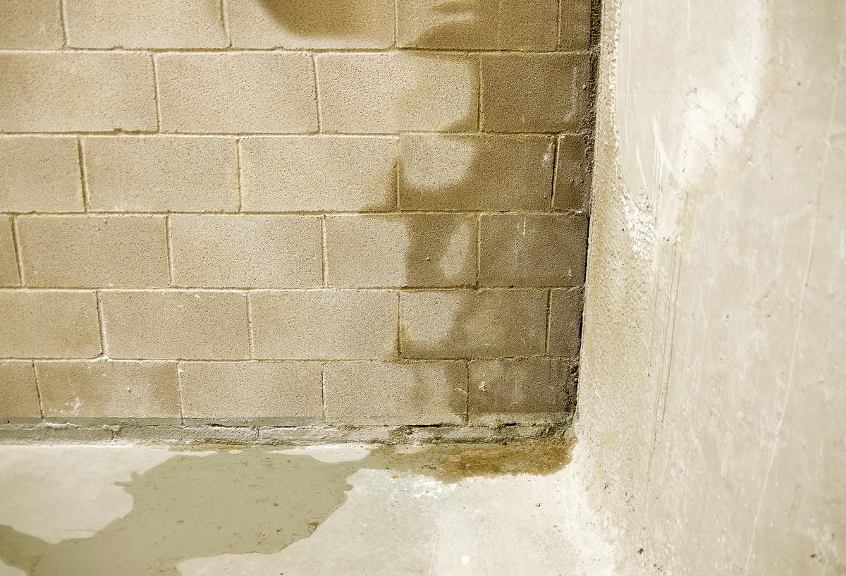 Avoid Moisture in Your Basement