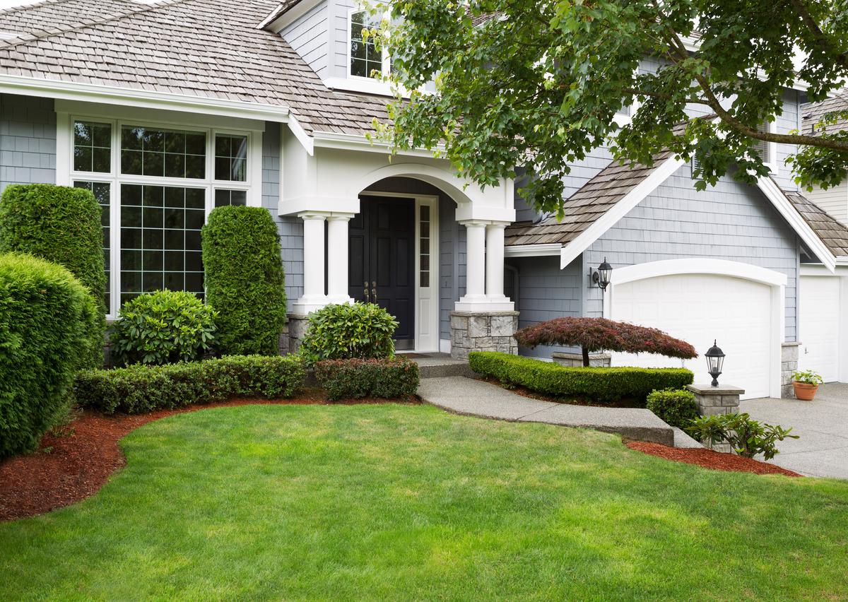 Avoid Plant Damage to Your Home’s Exterior by Leaving Some Room to Breathe