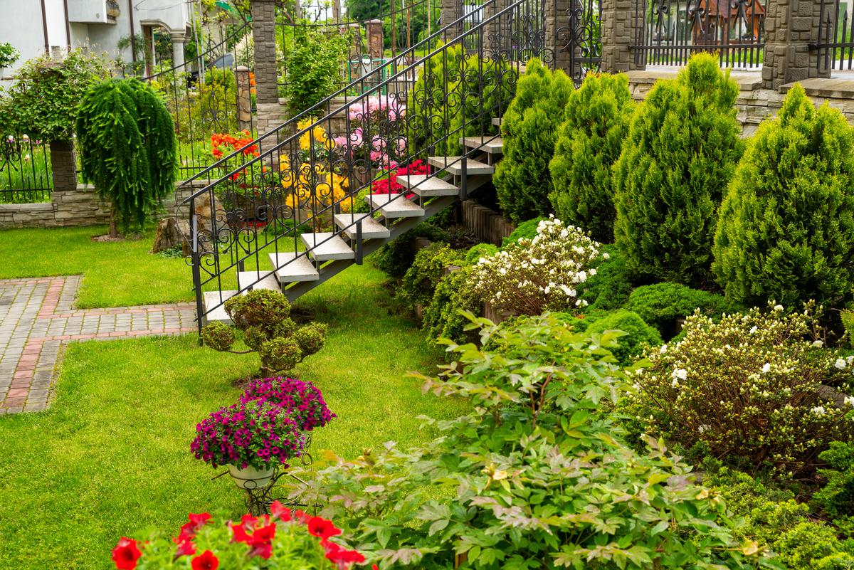 Basic Facts About Landscaping and How to Maintain It