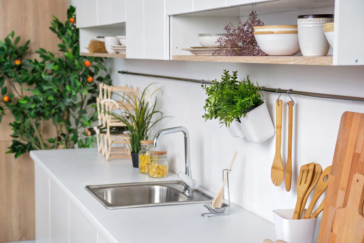 Biophilic Design Ideas for the 2022 Kitchen