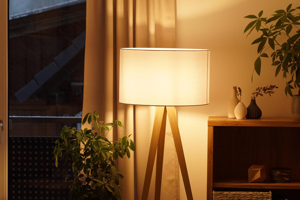 Find the ideal lamp shade that not only illuminates your space but also enhances its aesthetic.