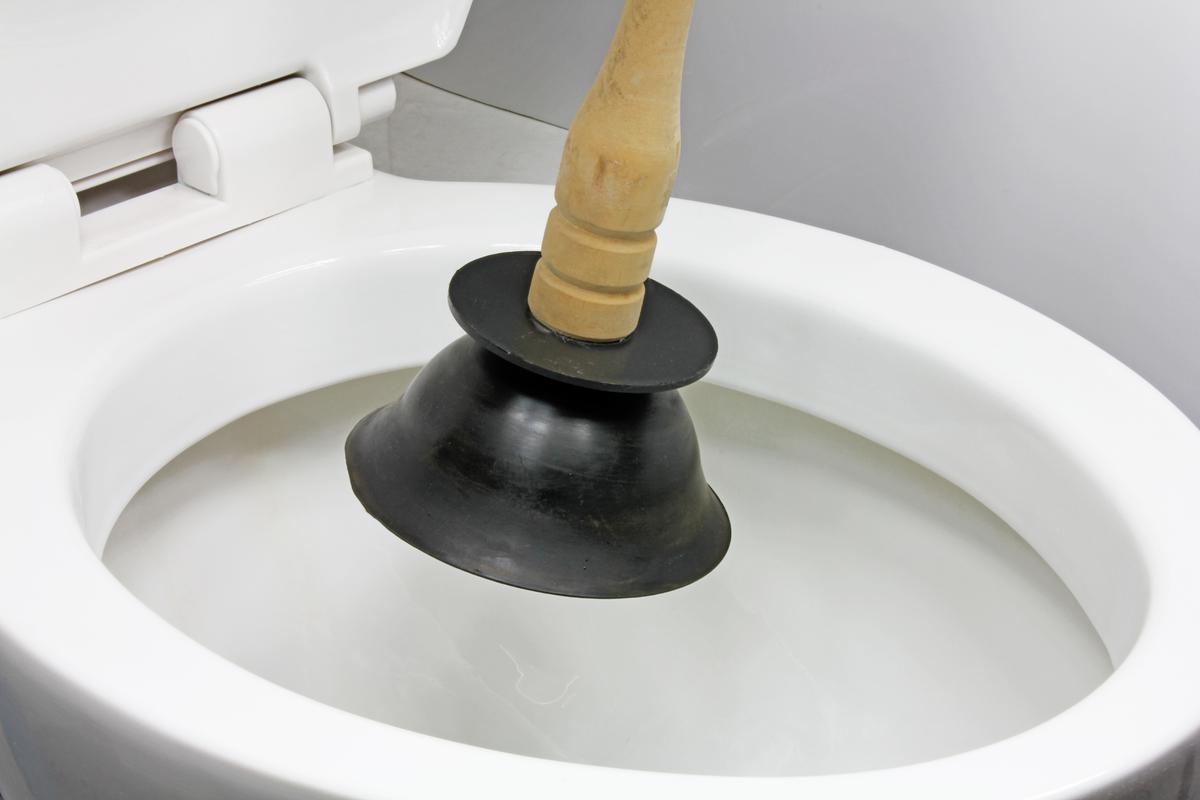 Clogged Toilets Are a Very Common Problem