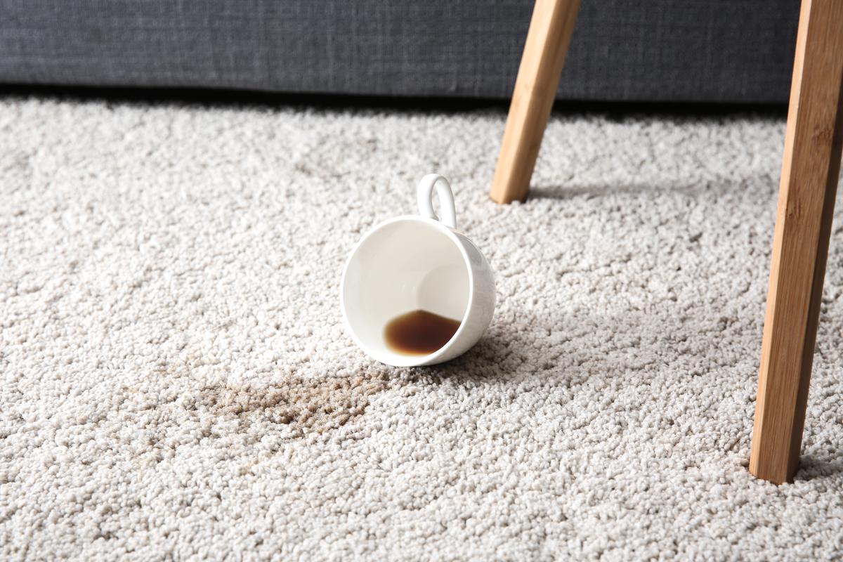 You can remove coffee stains from your carpet using either vinegar, baking soda, hydrogen peroxide, or dishwashing soap.