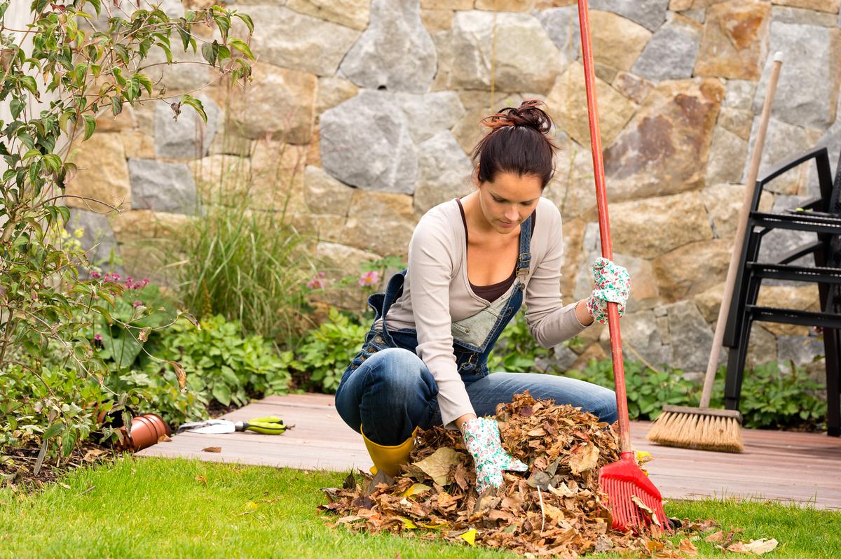 Common Backyard Cleaning Tasks for the Fall Season