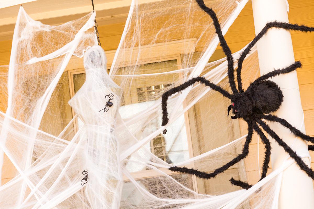 Creepy-Crawley Decor Ideas for Halloween