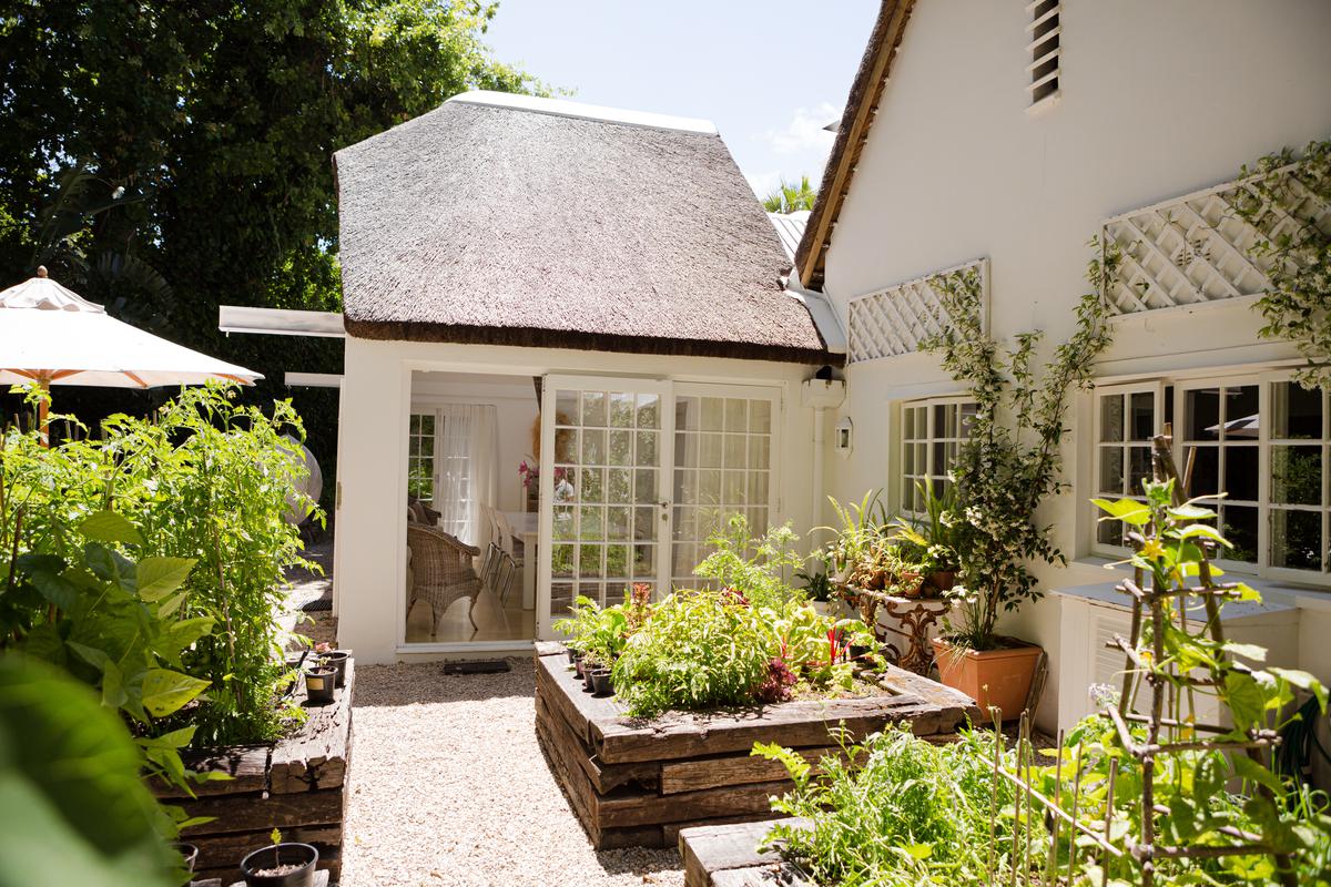 Design Solutions for a Small Backyard