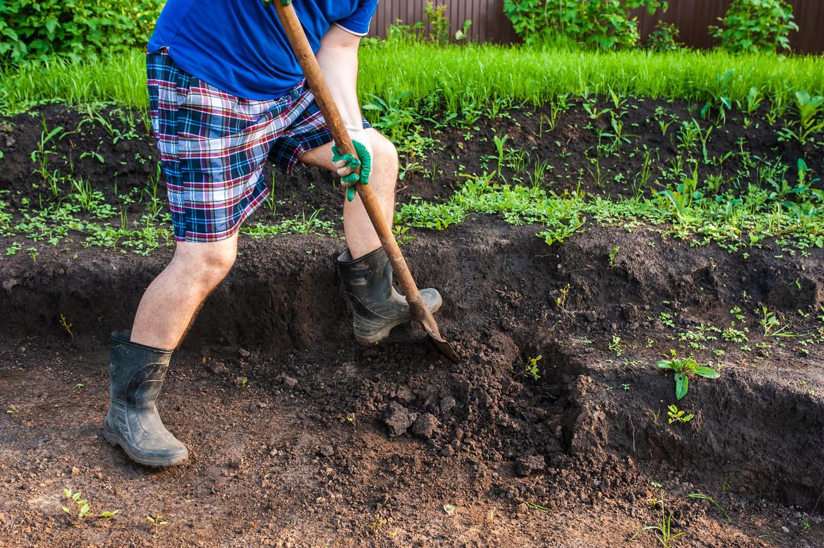 Using a shovel, start by digging a trench in several layers.