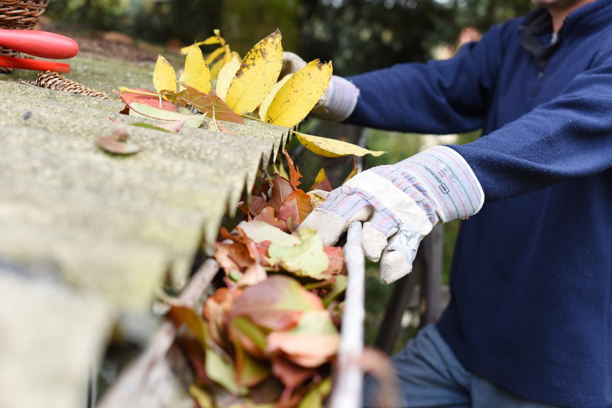 Even More Reasons to Clean Out Your Gutters