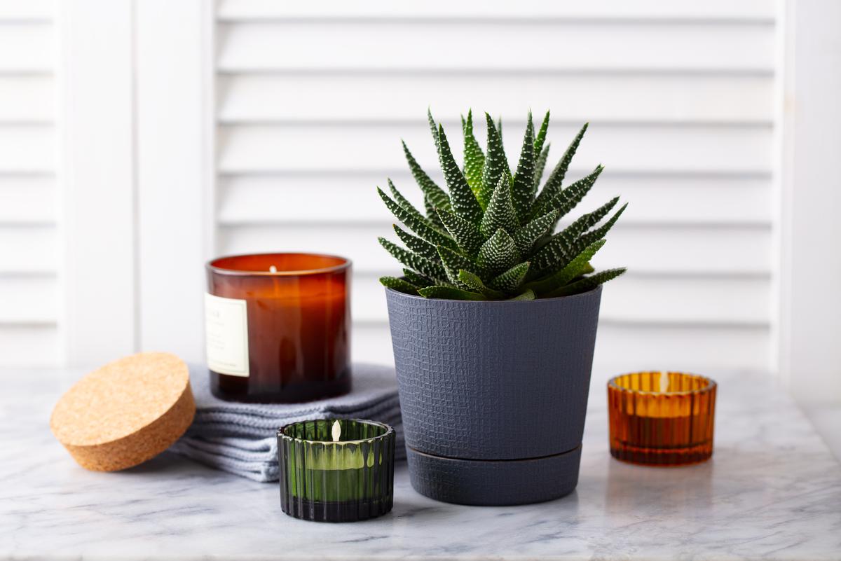 Faux Succulents Can Give Your Home A Minimalist Vibe