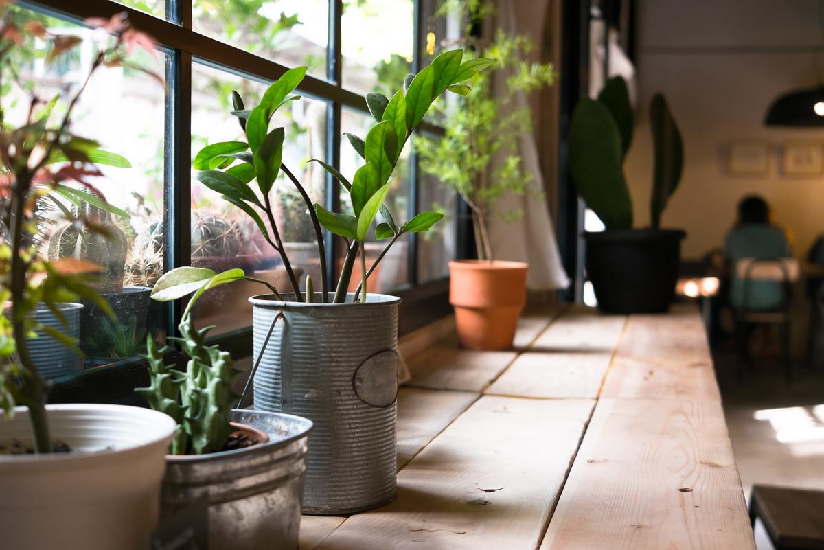 Flex Your Green Thumb With an Indoor Potting Room