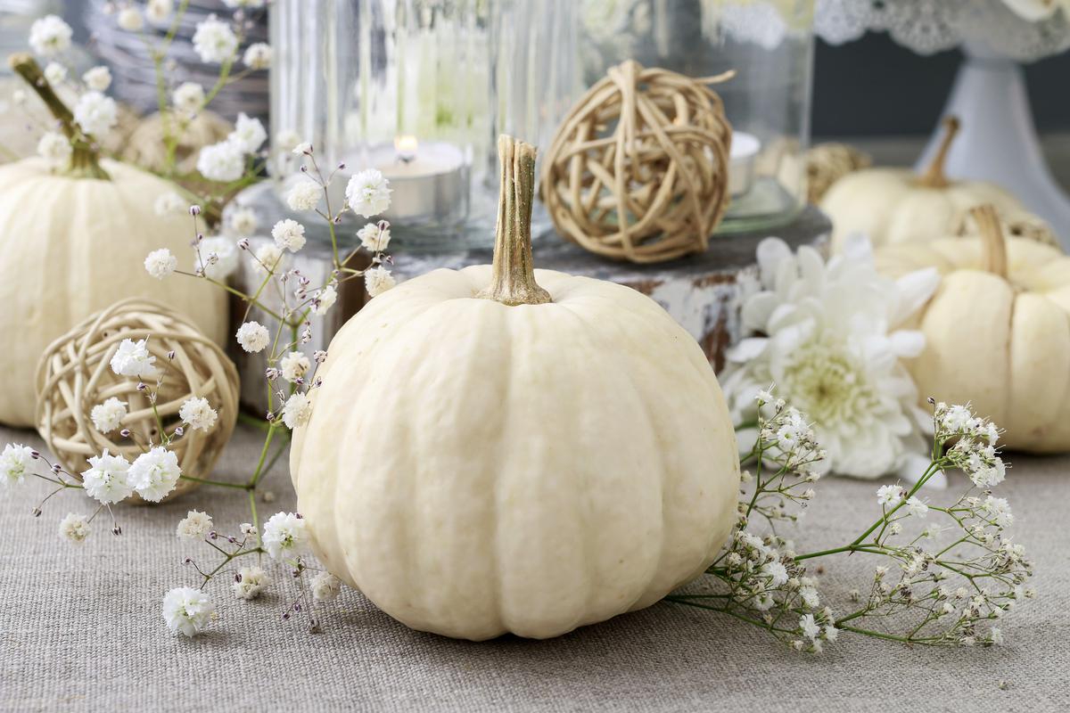 Floral White Pumpkin Decor Is Among the Latest Trends