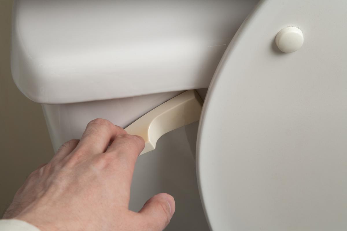 Follow These Basic Steps to Repair a Flush Handle