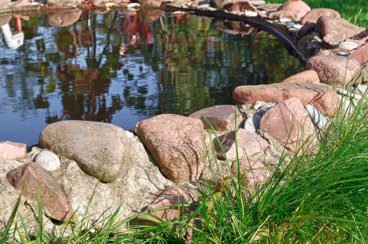 Lay stones along the pond’s edges in a style that reflects your personal taste.