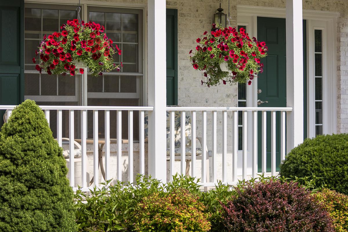 Elevate your front porch with cascading beauty: hanging planters that bring nature's touch and vibrant colors to new heights.