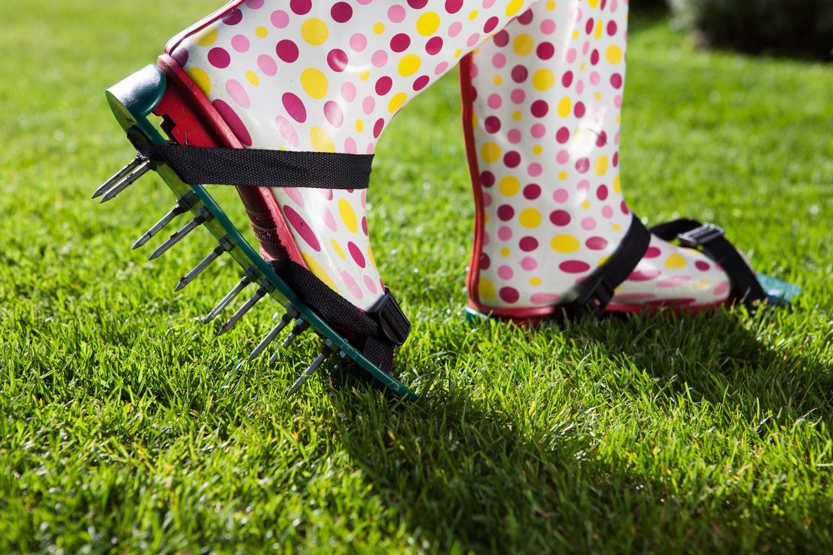 Getting Familiar With Lawn Maintenance Procedures