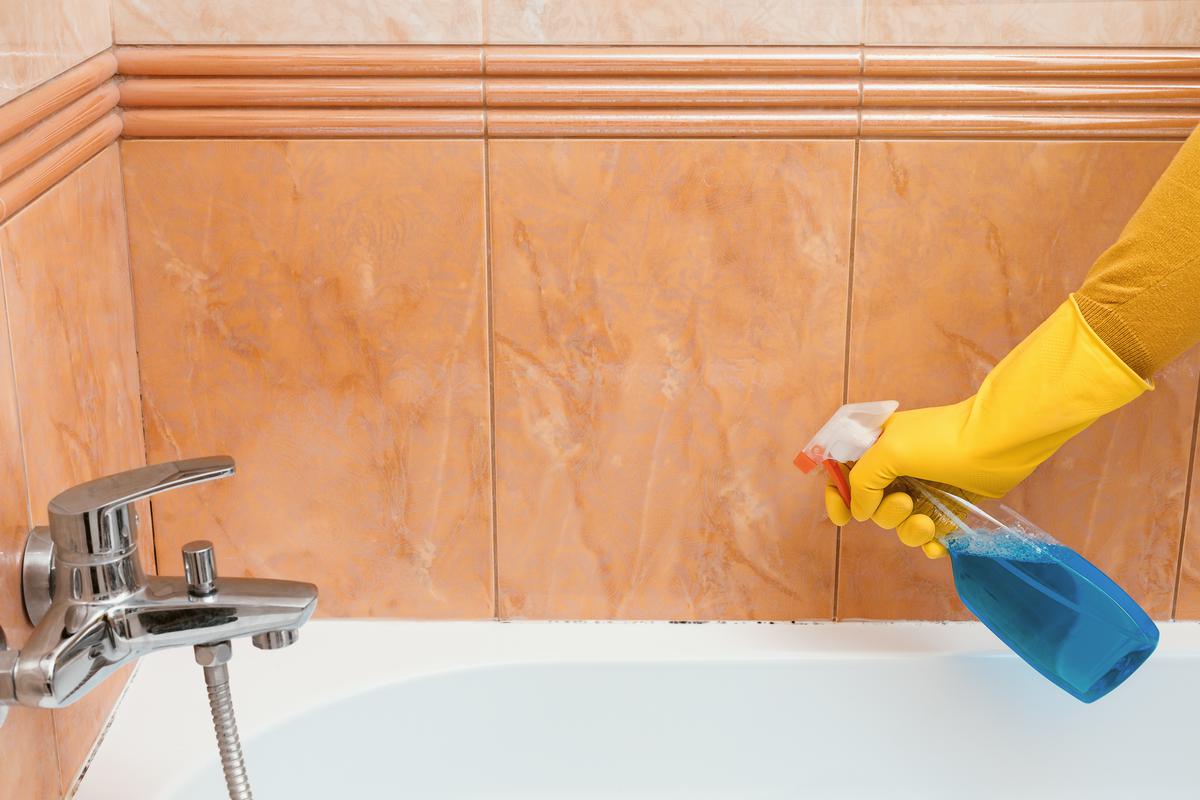 Getting Rid of Bathroom Mold and Mildew Should Be of Utmost Importance
