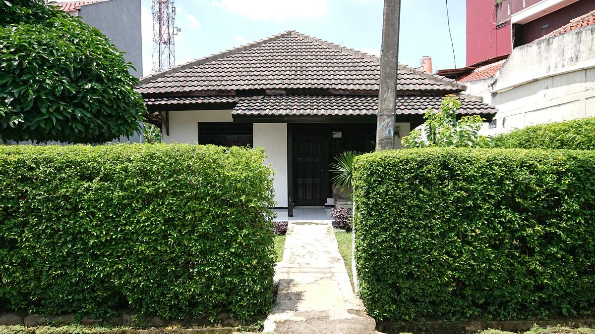 Green Hedges Enhance Your Home's Eco-Friendly Design