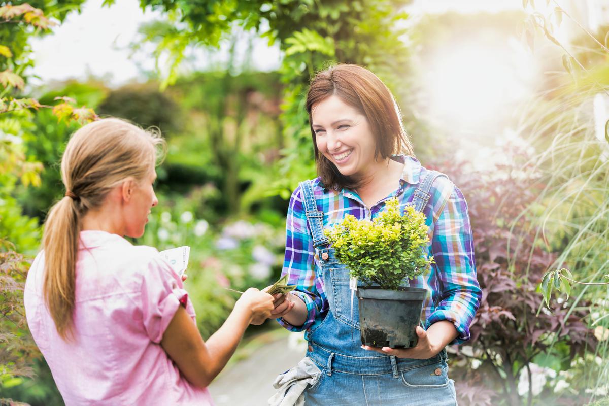 Hiring a Master Gardener is a Worthwhile Investment