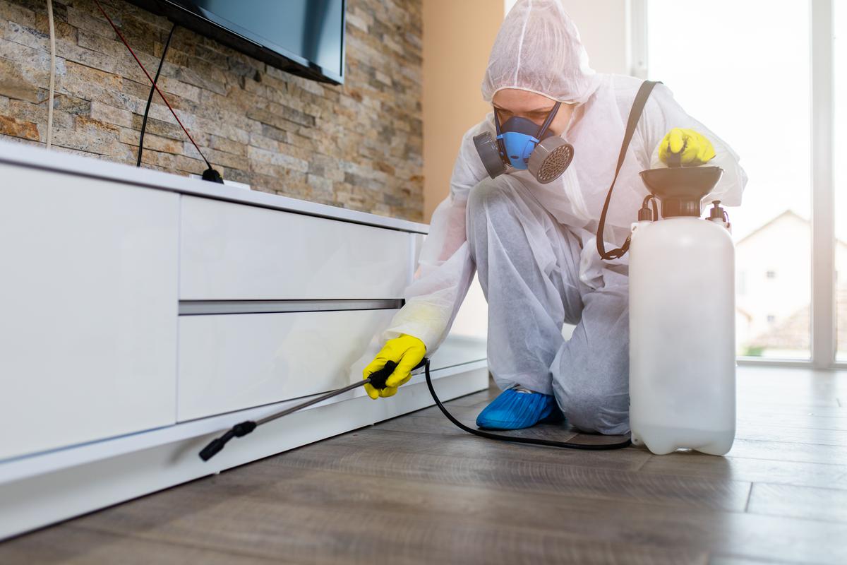 Fumigation tends to be the most expensive service that pest control technicians provide.