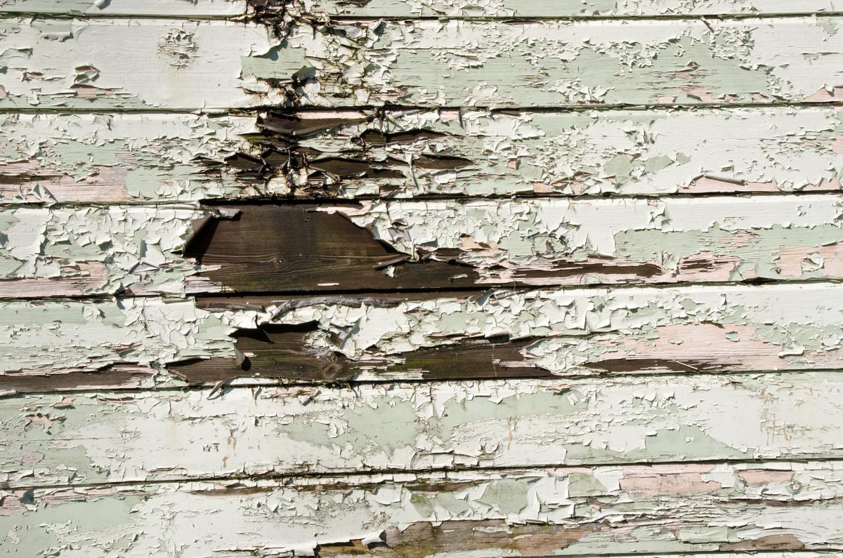 How Repainting Your Wood Trim Can Prevent Rotting