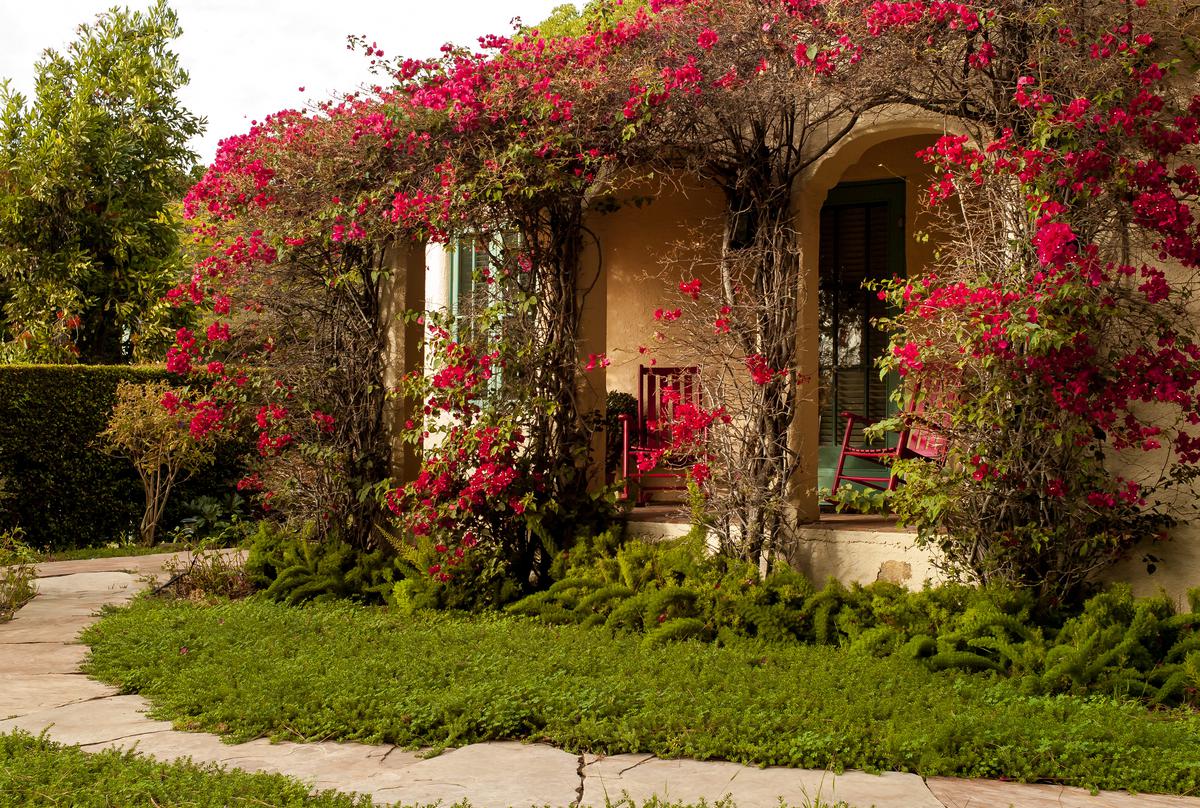 How a Few Strands of Grass Can Make Such a Difference