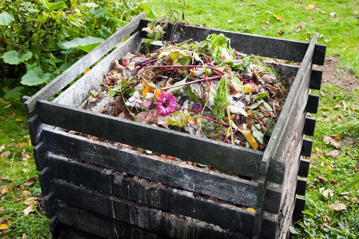 How to Build Your Own Compost Bin?